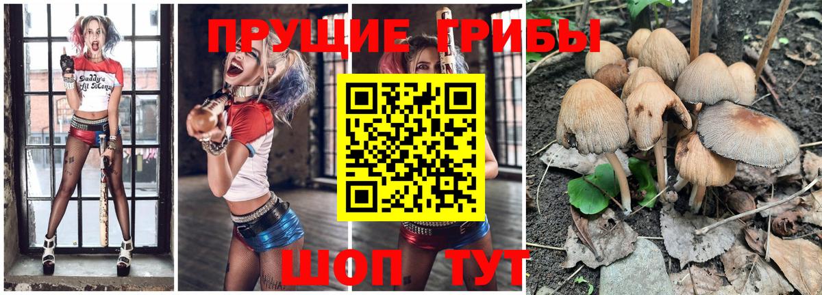 Ульяновск  Галлюциногенные грибы GOLDEN TEACHER  хочу наркоту  Вход с VPN 